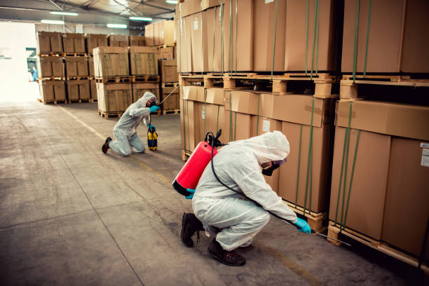 Best Best Pest Control Companies  in Sissonville, WV