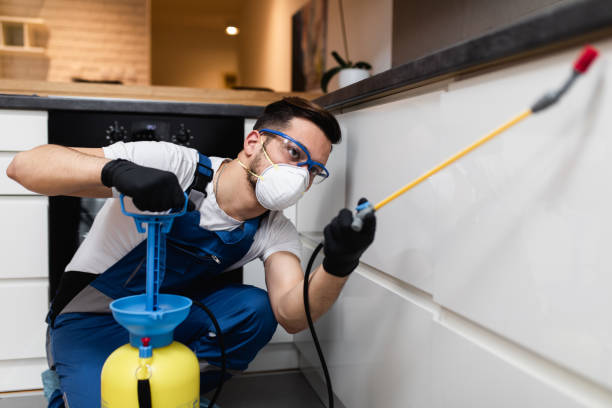 Best Best Pest Control Companies  in Sissonville, WV