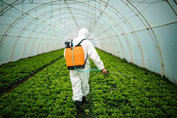 Best Pest Removal Services  in Sissonville, WV