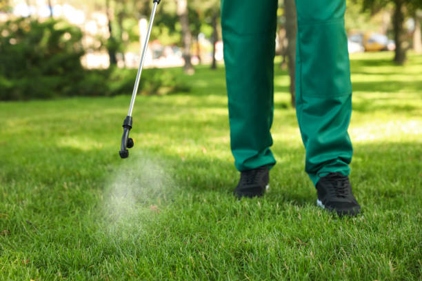 Best Cockroach Control Services  in Sissonville, WV