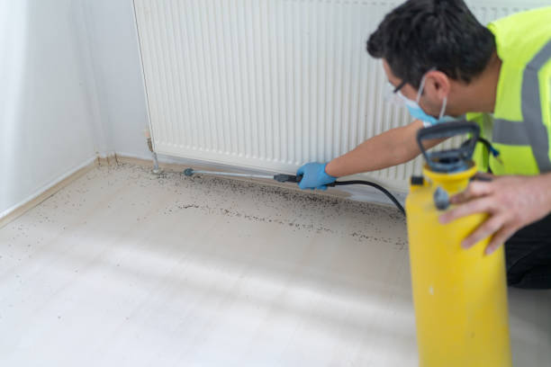 Best Commercial Pest Control Services  in Sissonville, WV