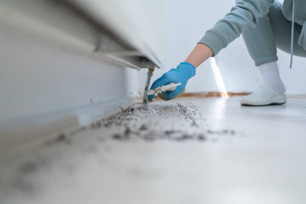 Reliable Sissonville, WV Pest Control Solutions